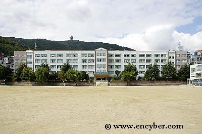 부산수영중학교 부산수영중학교