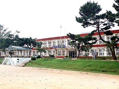충남해양과학고등학교 충남해양과학고등학교